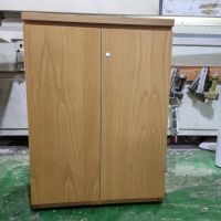 Tủ Hồ Sơ Thấp THST12.jpg