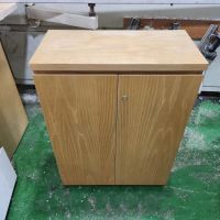 Tủ Hồ Sơ Thấp THST12.jpg