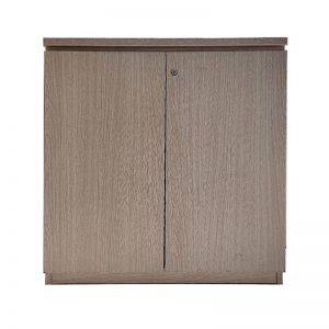 Tủ Hồ Sơ Thấp THST09.jpg