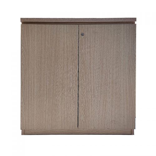 Tủ Hồ Sơ Thấp THST09.jpg